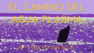 EL CAMINO DEL AGUA PLASMA  EP 4 Golfo San José [upl. by Lyj]