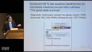 symbiose antibiose eubiose dysbiose  quand les bactéries osent [upl. by Adnirual]