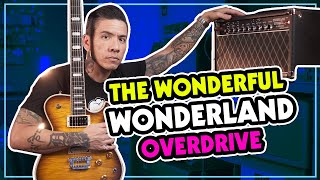 Amplified Nation Wonderland Overdrive amp demo  FREE BACKING TRACK [upl. by Shorter]