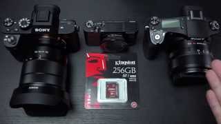 Kingston 256GB SD U3 Card [upl. by Sokin]