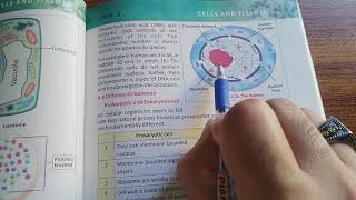 Vacuole Lysosome and Nucleus Cellular Organelles Biology Grade 9 Unit 4 KP Syllabus [upl. by Onyx]