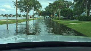 A High High Tide Floods the Streets  St Petersburg Florida [upl. by Yam978]