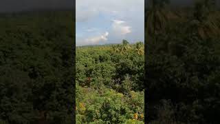 Drone crash fpvdrone fpvdronefreestyle fpvdronefootage drone drone fpvdroneracingfreestyle [upl. by Ayirp]