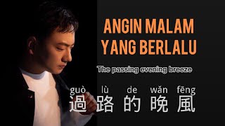 過路的晚風海來阿木  Guo Lu De Wan Feng  Hai Lai A Mu  Chinese Song  Pinyin  Mandarin Song [upl. by Eimak]