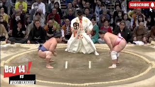 Day 14  URA vs WAKATAKAKAGE  Basho November 2024 [upl. by Chloris]