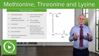 Methionine Threonine and Lysine Metabolism – Biochemistry  Lecturio [upl. by Oirram]