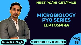 NEET PGINICET FMGE Microbiology PYQ SeriesPYQ 18 Leptospira Weils Disease [upl. by Karisa]