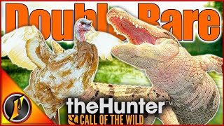 Mississippi Acres DOUBLE RARE  Hunting for Trophy Gators Quail amp More [upl. by Willumsen]