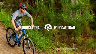 2018 Marin Wildcat Trail [upl. by Barnebas]