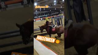 Happy Halloween 🎃 throwback horse pony showjumping horseriding horselover halloween [upl. by Adrial507]