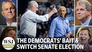 The Democrats’ Bait and Switch Senate Election [upl. by Lukas]