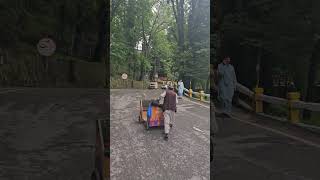 Pakistan Travel Series Little rides in Murree [upl. by Mayyahk]