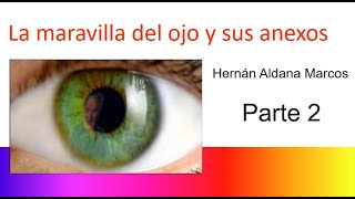 Histología del ojo Parte 2 [upl. by Hama]