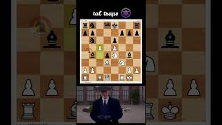 Tal Traps ✨ catur шахматы magic [upl. by Bobbee931]