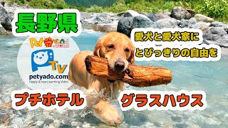 長野県プチホテルグラスハウス｜ペットと泊まれる宿｜白馬 ｜愛犬と旅行｜遊ぶ [upl. by Anillek]