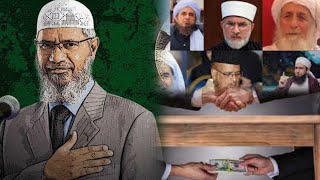 Kis Ka Islam Dr Zakir Naik Vs PakistanMohsin kamal Vlog [upl. by Torp737]