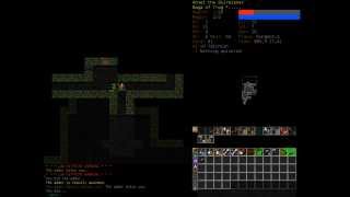 Dungeon Crawl Stone Soup  Gameplay [upl. by Ycat]