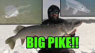 Ice Fishing for BIG PIKE 40quot  Insane UNDERWATER Footage [upl. by Edina]