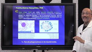 8 IMMUNOLOGIE S5  Cellules du Système Immunitaire inné part 3 [upl. by Lama410]