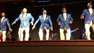 Temptations Review cant get next to you [upl. by Eenalem]