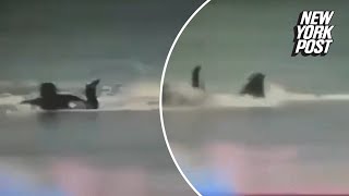 Horrible moment surfer is mauled by great white shark that bit off his leg [upl. by Aneehs]