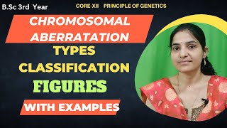 Types Of Chromosomal Aberration BSc 3rd YearChromosomal Mutation [upl. by Enrahs]