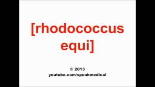 Pronounce Rhodococcus equi  SpeakMedical [upl. by Austen735]