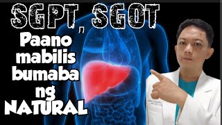 SGPT SGOT PAANO BABABA NG MABILIS AT NATURAL [upl. by Yelbmik435]