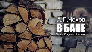 «В бане» АПЧехов Аудиокнига Читает Владимир Антоник [upl. by Manus]