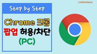 Chrome 크롬 웹사이트 팝업 차단허용 하기 [upl. by Anelet]