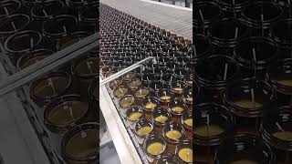 Glass Container Candles Production [upl. by Elletsirk]