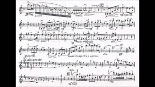 Seitz Friedrich Student Concerto No4 Op15 for violin  piano [upl. by Eiggem]