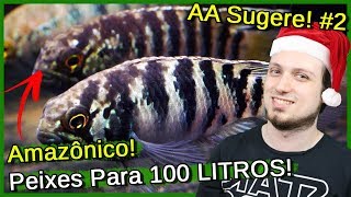 Quais Peixes colocar em aquário de 100 litros Amazônico  AA Sugere 2 [upl. by Pangaro446]