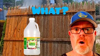 Pretreating Before Pressure Washing With White Vinegar You Wont Believe The Results DIY [upl. by Clayborne556]