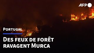 Portugal des incendies font rage à Murca  AFP [upl. by Shirleen928]