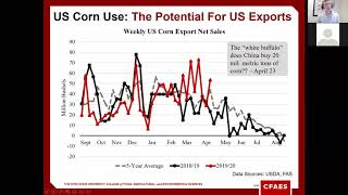 Grain Market Outlook [upl. by Eusoj566]