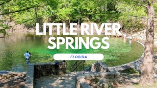 Little River Springs in Suwannee County Florida suwannee springs outdoors [upl. by Waechter862]