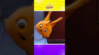 SUNNY BUNNIES  Hide And Seek funnycartoon kidscartoon ytshorts shortsfeed [upl. by Vasily]