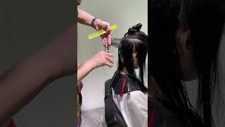 Chinese Haircut 498 [upl. by Sand]