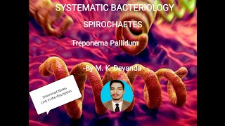 Treponema Pallidum Systemic Bacteriology Microbiology [upl. by Eatnwahs519]