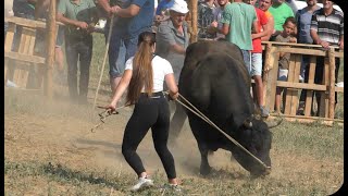 Kobrica  vl Martina Batista vs Garac vl Mehrudin Mahmić Visoko Stuparići 4K [upl. by Haynor]