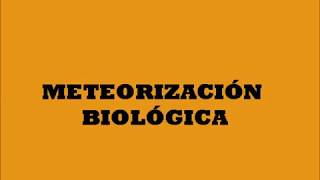 Meteorización biológica [upl. by Gebhardt]