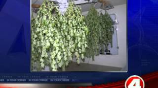 Underground grow house uncovered in Collier County [upl. by Sinnylg282]