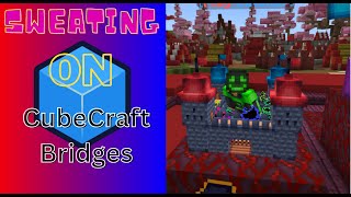 Sweating on Cubecraft bridges [upl. by Rakia904]