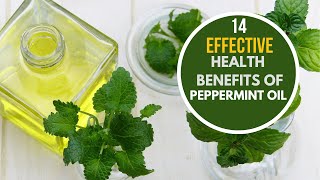 14 Effective Health Benefits of Peppermint Oil [upl. by Neeruam]