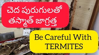 VLOG  ఇంటికి చెదలు పడితే ఏం చేయాలి  HOW TO CONTROL TERMITES  Pest Control Ranivlogs1983 [upl. by Rehpretsirhc]