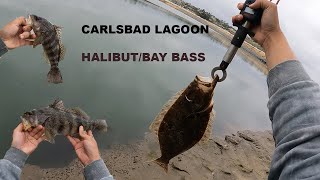 Carlsbad Lagoon Fishing   Halibut  Bay Bass [upl. by Farrow]