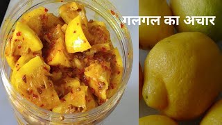 Galgal ka Aachar  Khatte ka aachar at home  Homemade Himachali aachar  Ghar ka bana hua aachar [upl. by Aliehc]