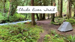 Backpacking the Elwha River Trail  OLYMPIC NATIONAL PARK [upl. by Alleram]