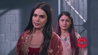 Zee World This Is Fate  Brand New Season  Shraddha Arya Manit Joura [upl. by Natica]